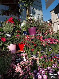 Photo n°21 de L'Amaryllis à Fressenneville (Fleuriste)