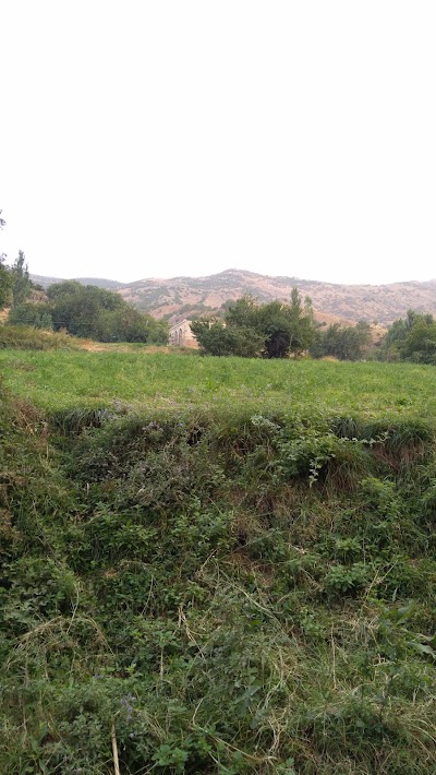 Photos of Piknik Alanı