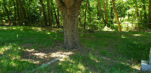 Whitesville Methodist Historic Cemetery - Thumbnail