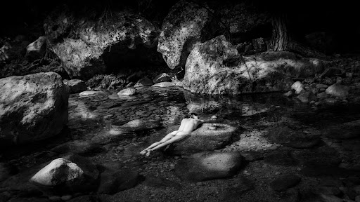 Photo de Alainstinct Photographie à Lavoux (86800)