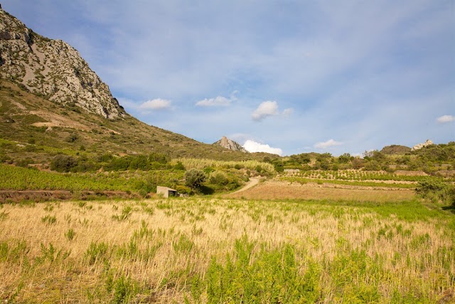 Château de Quéribus