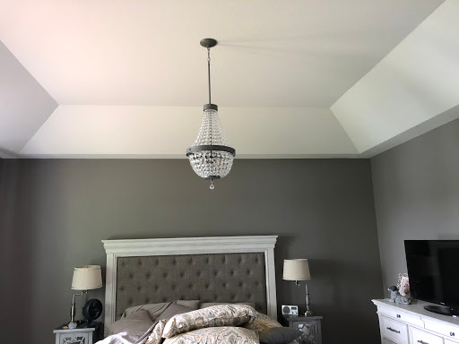 Pro-Wire Electric - Visual