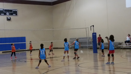 Palomar Family YMCA Gymnastics Center - Thumbnail