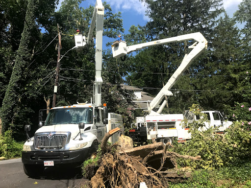 Holland Power Services - Thumbnail