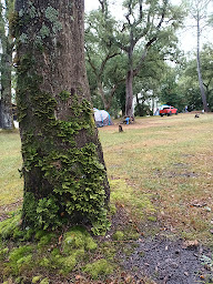 Photo n°10 de Aire naturelle de camping Au Gat à Léon (Terrain de camping)
