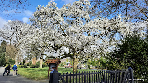 Ev.-ref. Friedhof Heseper Weg