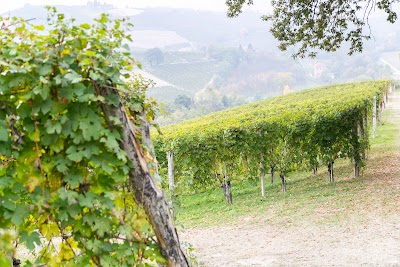 Azienda Vitivinicola Ca Trifolera