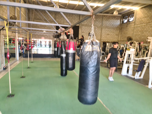 Kochul Gym THE CHAMP
