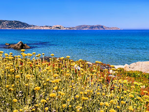 Photo n°15 de Hippocampe Plongée Calvi à Calvi (Centre de formation)