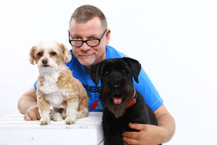 Bild: Mobiler Hundefriseur Potsdam Hund