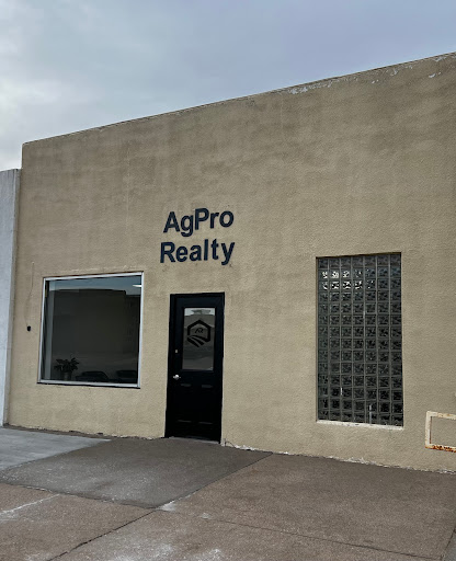AgPro Realty - Visual