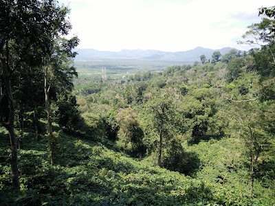Photos of CAFE KHOKAP Gumitir