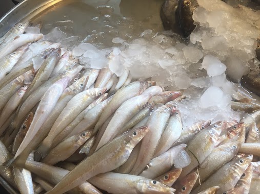 Qatif Fish Market, Author: حسين السعيد