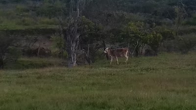 Photos of FINCA EL CONSERVO FAMILIA RODRIGUEZ BAUTISTA