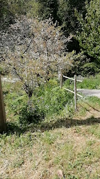 Photo n°7 de I FUNDALI gîtes et chambres d'hôtes à Luri (Chambre d'hôtes)