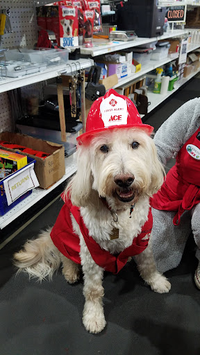 Gold Country Ace Hardware - Thumbnail