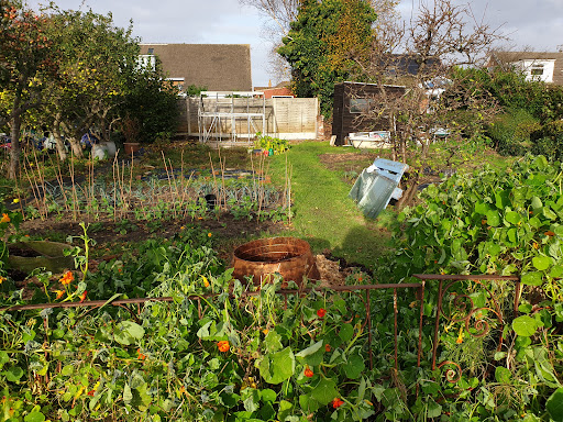 Shepherd Road Allotments