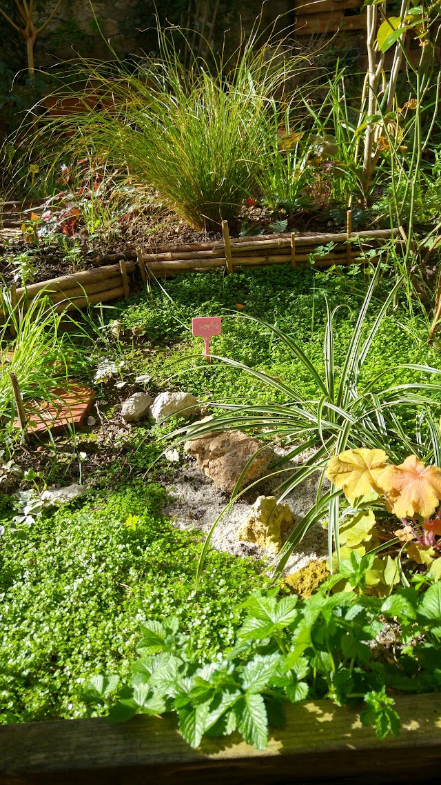 jardin partagé & amap