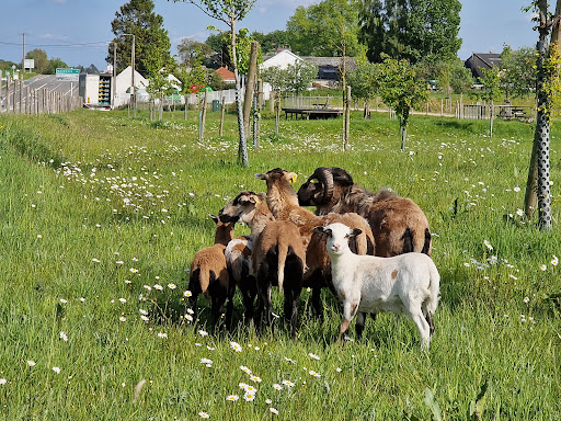 Les animaux de l'Ouvèze - Thumbnail