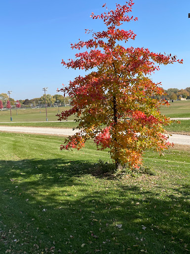 Sunset Meadows Park - Visual
