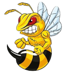 Photo n°10 de anl 40 frelons guêpes destruction à Rion-des-Landes (Service d'extermination des nuisibles)