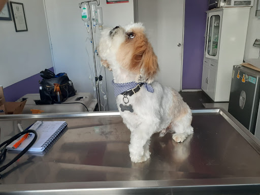 Veterinaria Vfriends