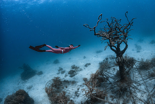 Kamonchanok freediver