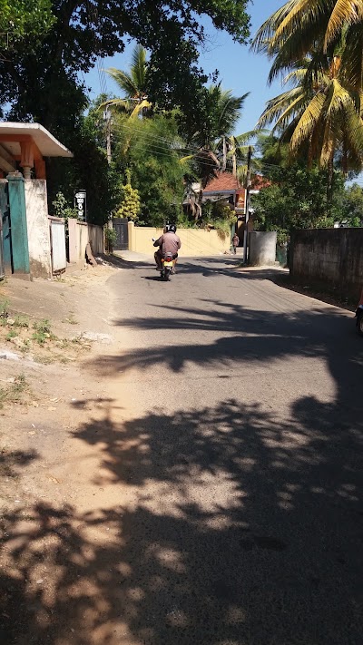 Photos of Genuine Sri Lankans Tours
