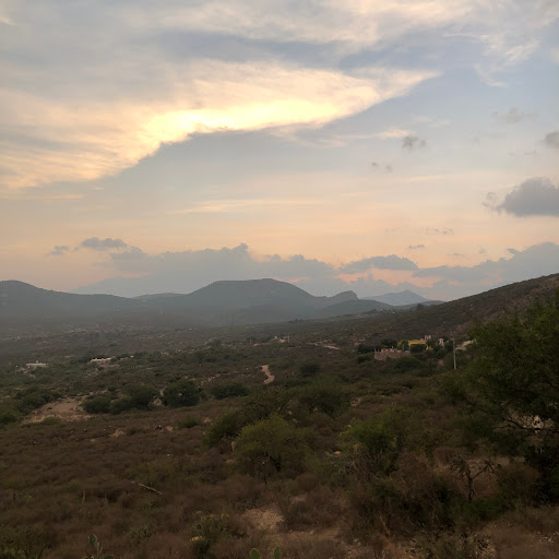 Detzani - Visual