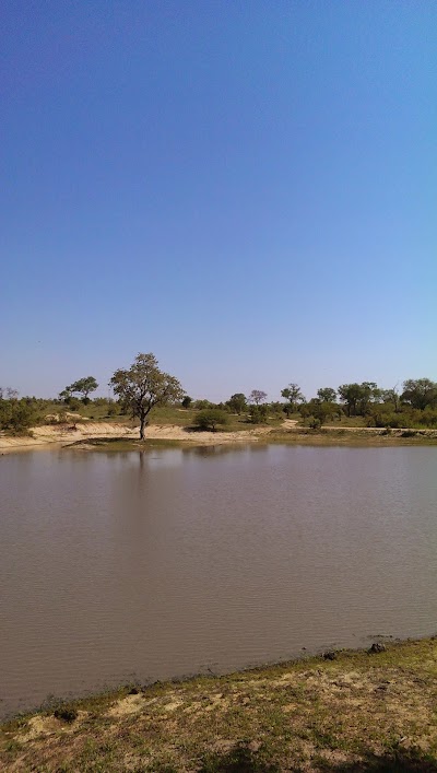 Photos of Idube Game Reserve
