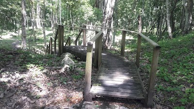 Photos of Topoxte