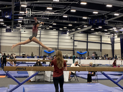 Eric Will Gymnastic Center - Thumbnail