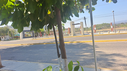 DHL IXTEPEC - Visual