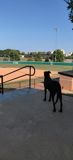 Cleveland S. Harley Baseball Park - Thumbnail