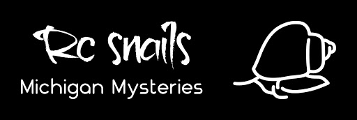 RC SNAILS - Visual