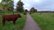 Midsummer Common cambridge