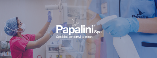 Papalini Spa - Visual