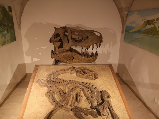 Musée Requien - Thumbnail