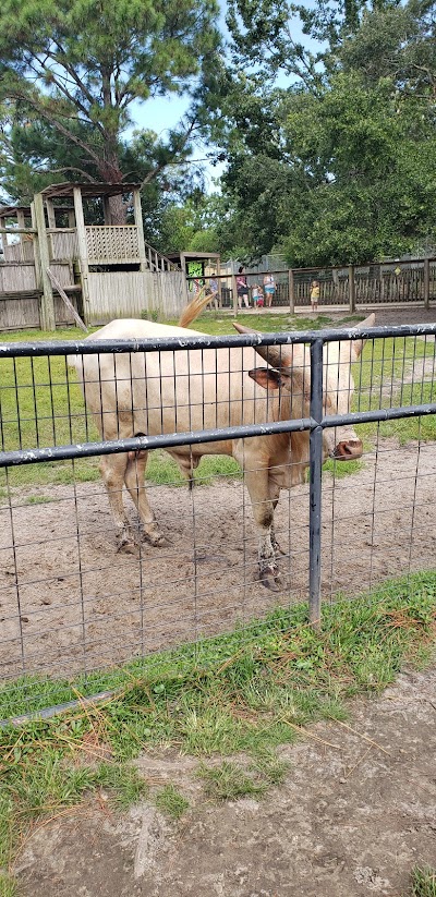 Alabama Gulf Coast Zoo