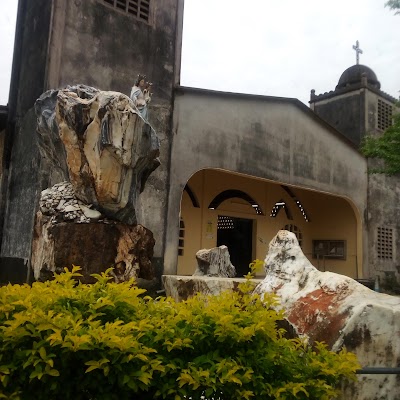 Photos of Paroisse Notre Dame de l'Amour Ngwele