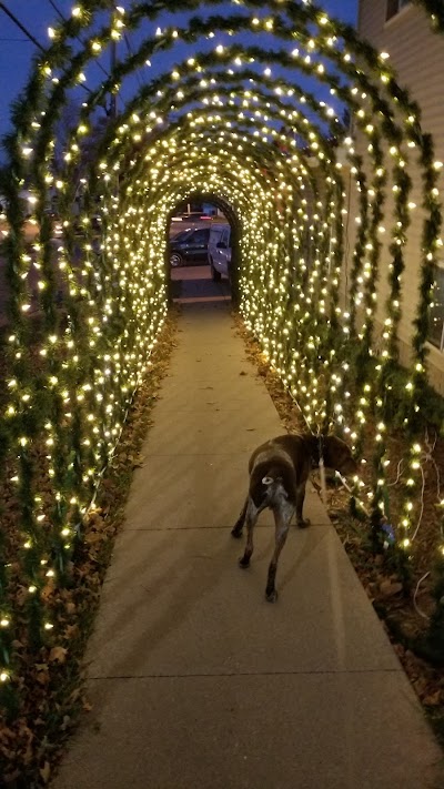 Christmas on Court Street