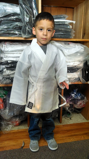 Ryukyu Martial Arts