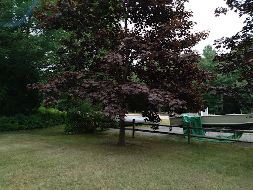 Greg's Tree Services - Visual