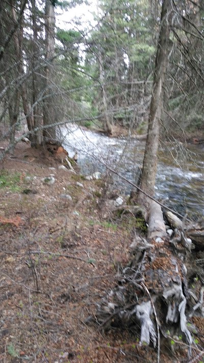 Blodgett Campground