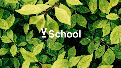V School - Visual