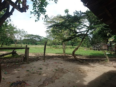 Photos of Restaurante Bar. BOCACHICO.