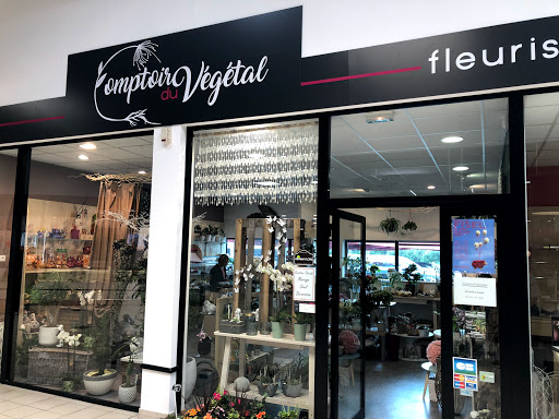 Comptoir du Végétal - Sweden