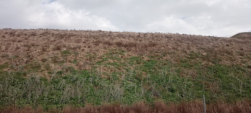 Cerro Conejeras - Thumbnail
