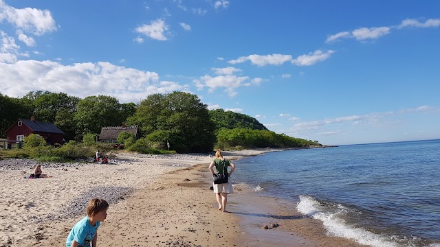 Parc national de Stenshuvud