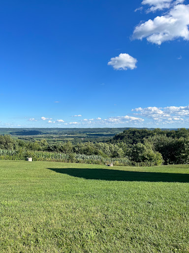 Vino Over The Valley - Thumbnail